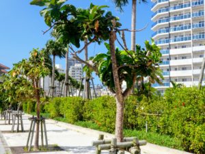 神奈川県横浜市 更地 売却希望